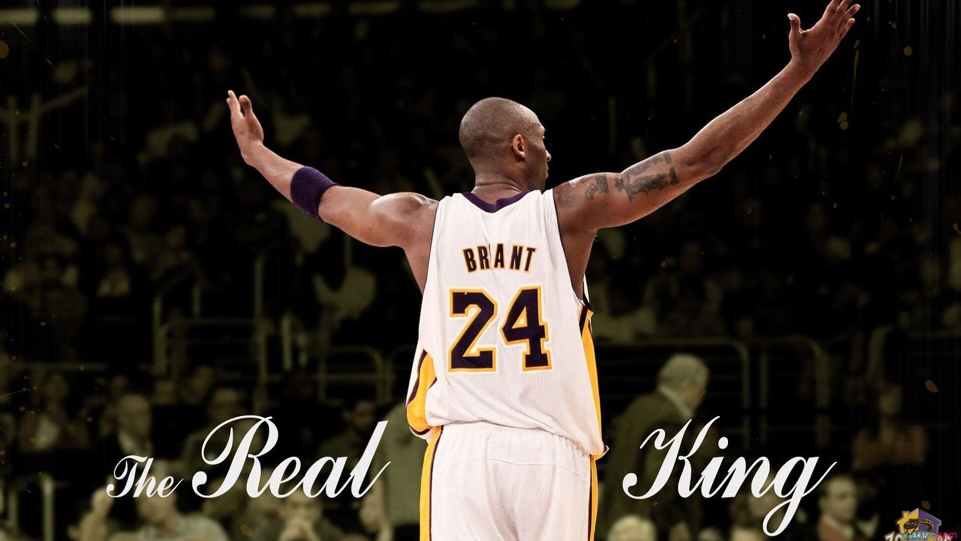 亚历克斯·格林伍德的防守韧性为袋鼠队抵御强敌进攻,格林伍德上限